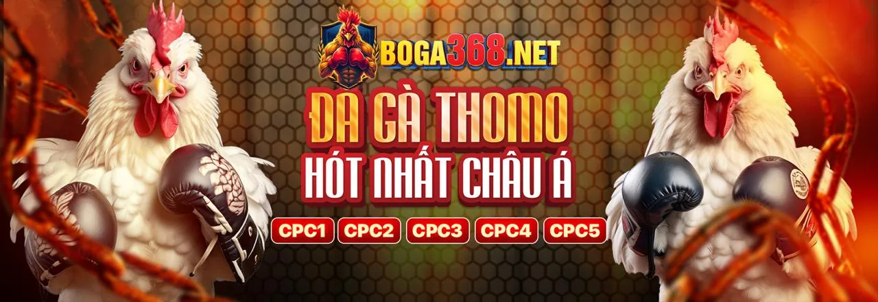 Sân chơi đá gà trực tiếp 789wi